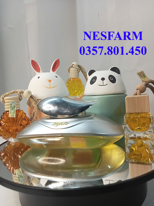 Tại sao nên sử dụng Tinh dầu